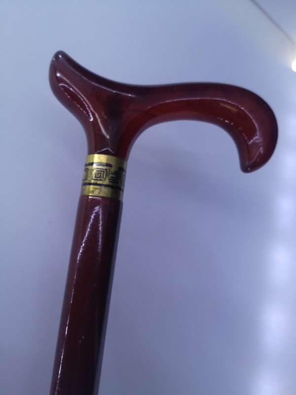 Stunning walking stick