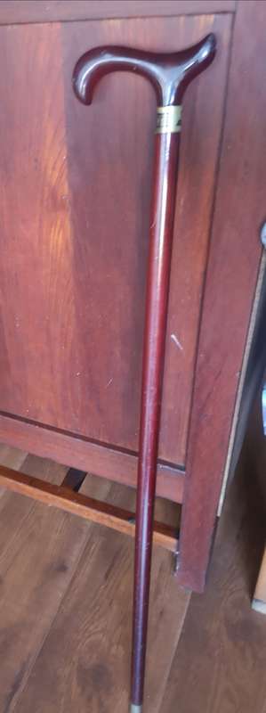 Stunning walking stick