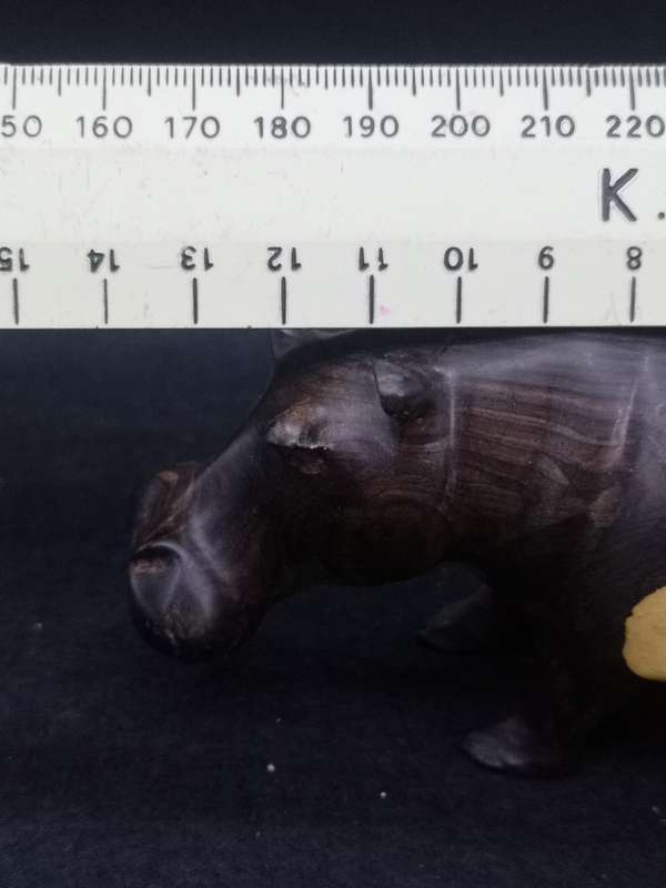 Wooden Hippo