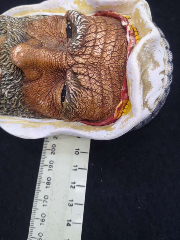Bossons head