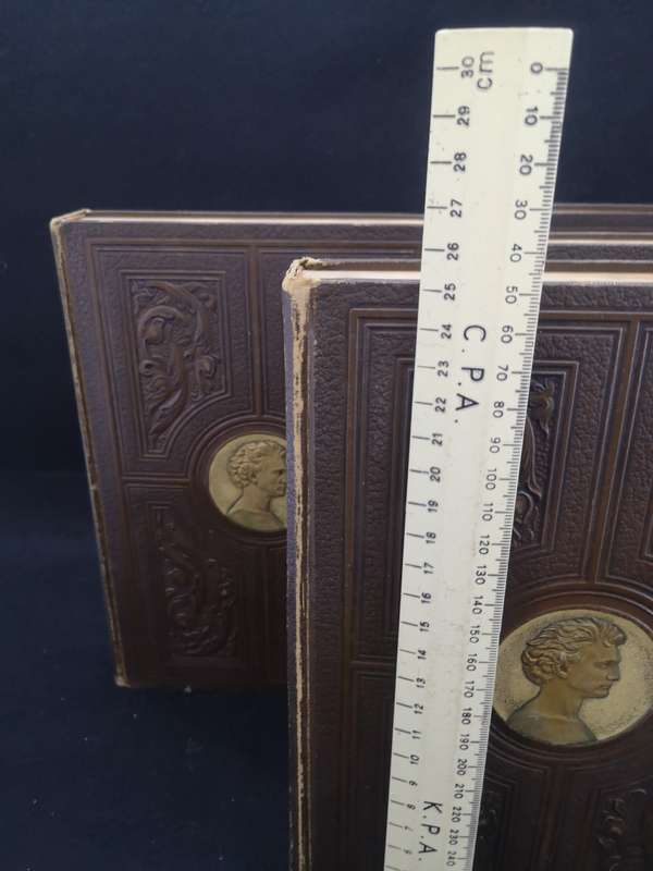 Gorgeous Encyclopedia of health book set - 4