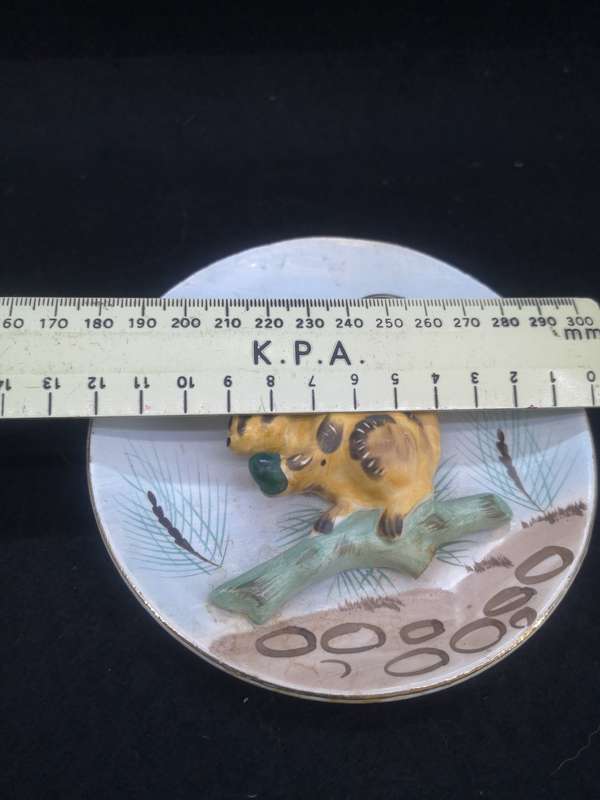 Squirrell wall pocket