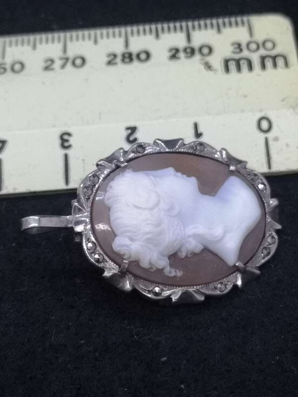 High craftmanship Cameo brooch/pendant set in silver