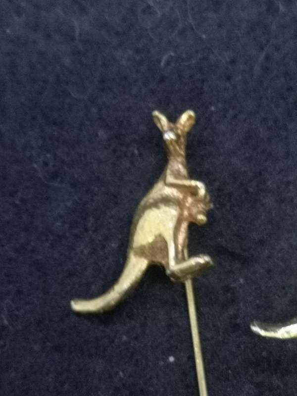 Kangaroo pins