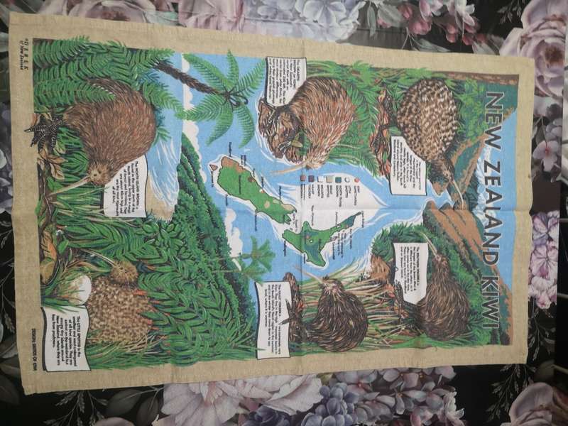 Big vintage New Zealand Kiwi wall decoration