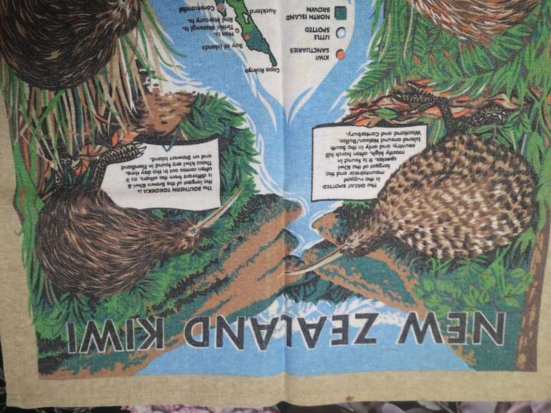 Big vintage New Zealand Kiwi wall decoration