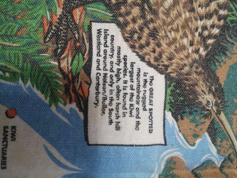Big vintage New Zealand Kiwi wall decoration