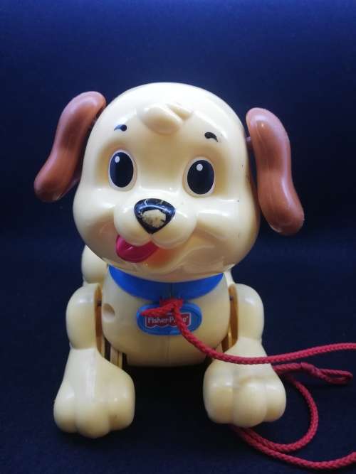 Fisher Price dag along dog