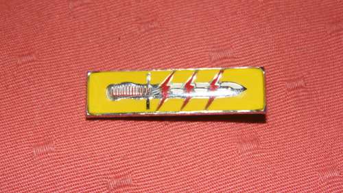 61 MEG PROFICIENCY BADGE ALL PINS