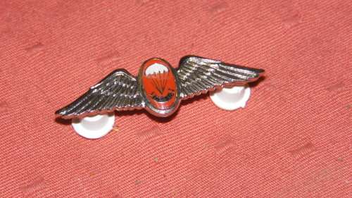 SA PARACHUTE FREE FALL INSTRUCTORS MESS DRESS WINGS ALL PINS