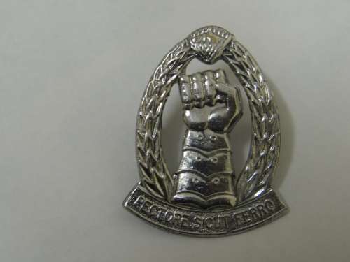 ARMOUR CORPS CHROME BERET BADGE