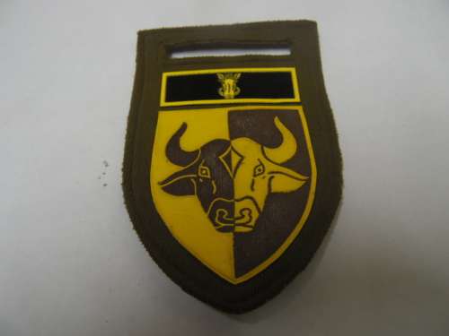 116 BATTALION WITH SOUTPANSBERG MILITARY AREA COMMAND BAR ALL PINS