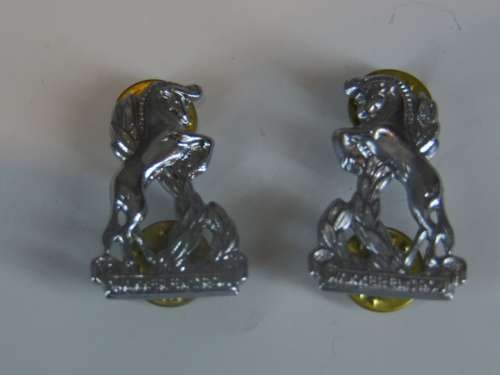 REGIMENT DAN PIENAAR CHROME COLLAR BADGE SET ALL PINS