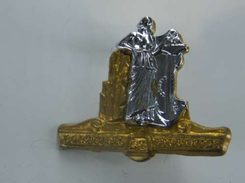 SA CAPE CORPS CAP BADGE