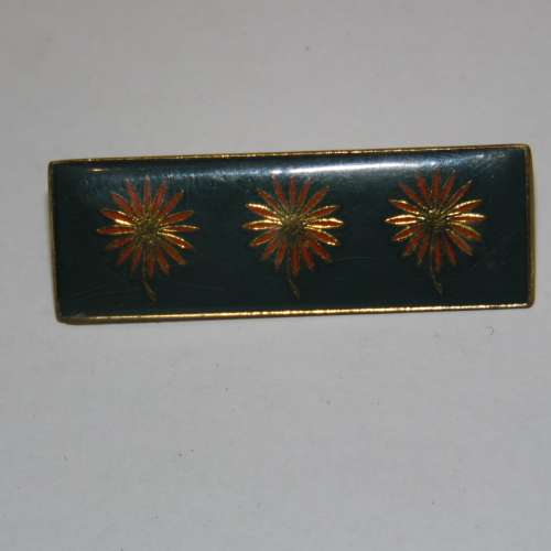 NORTHERN TRANSVAAL COMMAND BAR ALL PINS