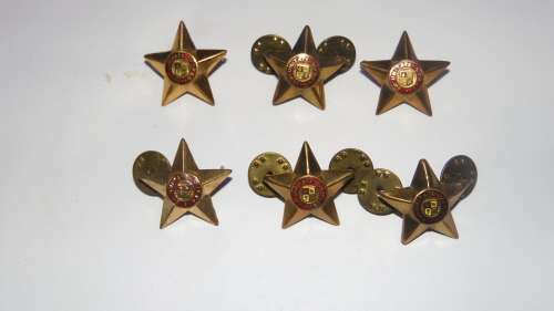 SADF BRASS CAPTAIN RANK SET ALL PINS