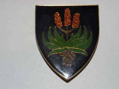 REGIMENT PIET RETIEF ALL PINS
