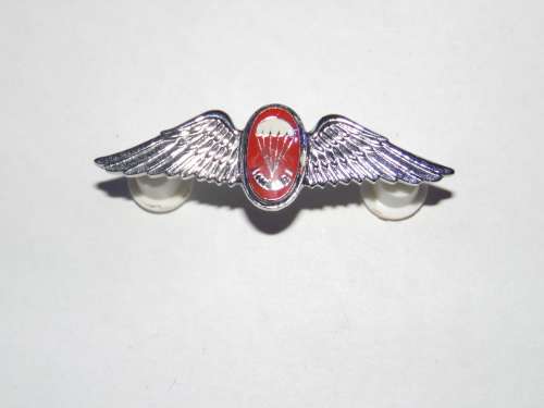 PARATROOPER FREE FALL INSTRUCTOR MESS DRESS PROFICIENCY WINGS