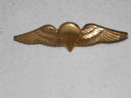 SA PARATROOPER BASIC MESS DRESS WINGS