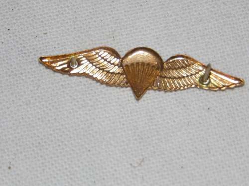 SA PARATROOPER BASIC MESS DRESS WINGS