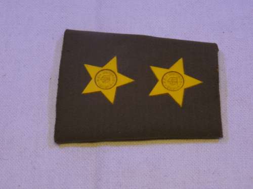 SADF FIRST LIEUTENANT RUBBER RANK (SHORTENED)