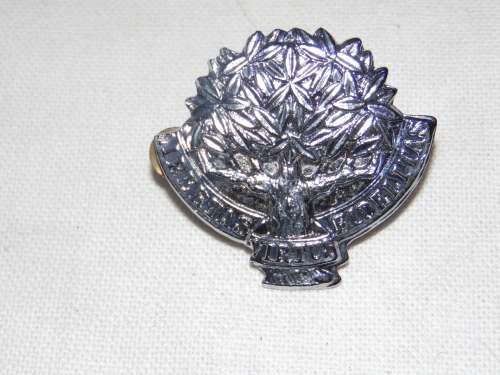 REGIMENT FREE STATE CAP BADGE