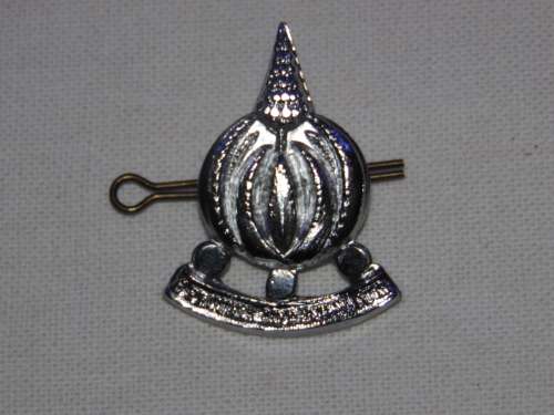 FINANCE CORPS CAP BADGE