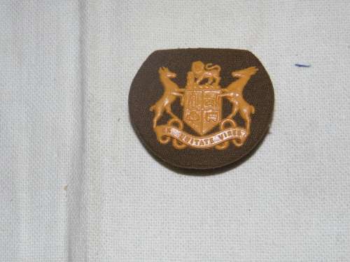 SADF WO2 RUBBER RANK ALL PINS