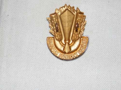 CATERING CORPS CAP BADGE WITH LUGS