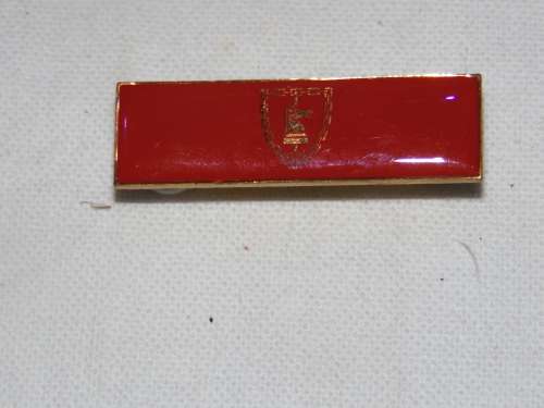 ARMY BATTLE SCHOOL COMMAND BAR R/H SIDE ALL PINS