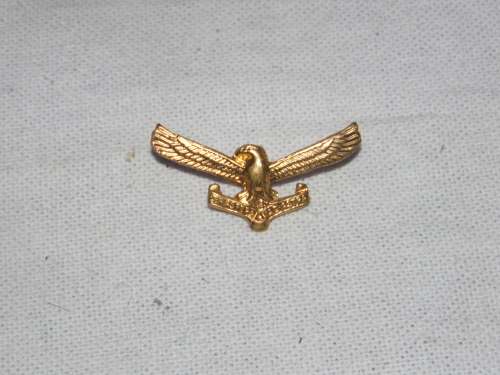 AIR FORCE CAP BADGE