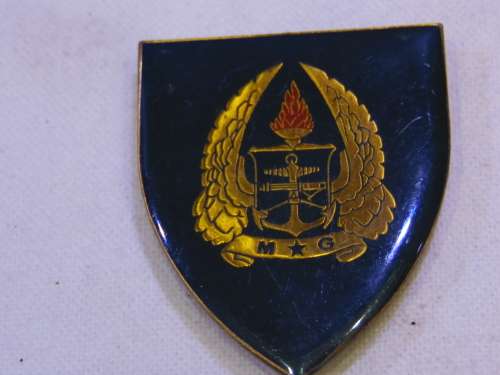 ARMY GYM ALL PINS