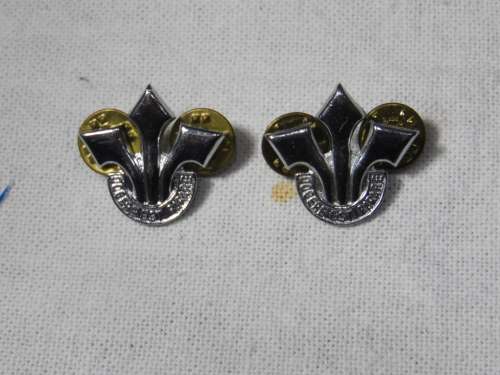 CORPS OF PROFESSIONAL OFFICERS  COLLAR BADGES