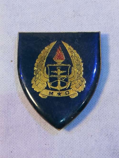 ARMY GYM ALL PINS