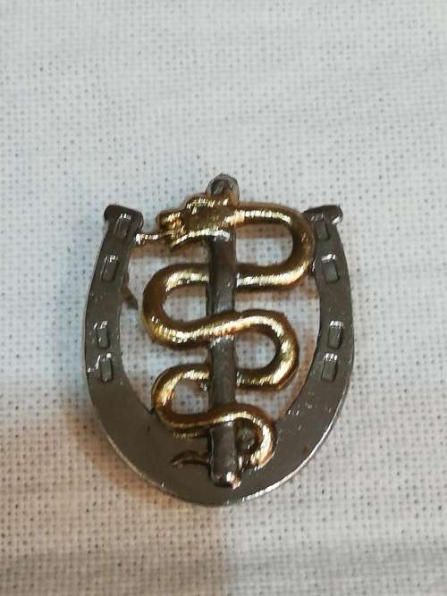 MEDICAL CORPS VETERINARIAN PROFICIENCY BADGE
