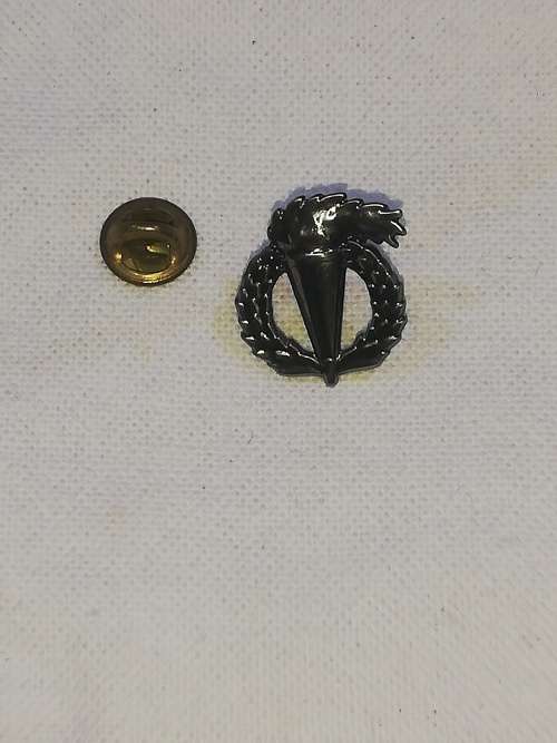 PATH FINDER MESS DRESS BADGE ALL PINS