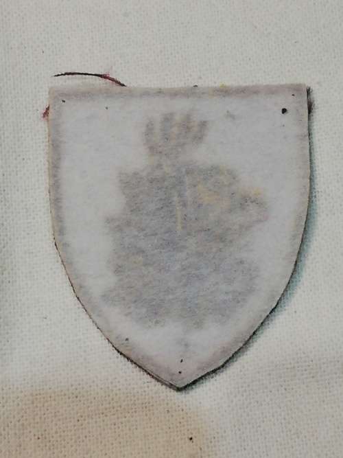 PATH FINDER CLOTH BADGE COULD BE PROTO TYPE
