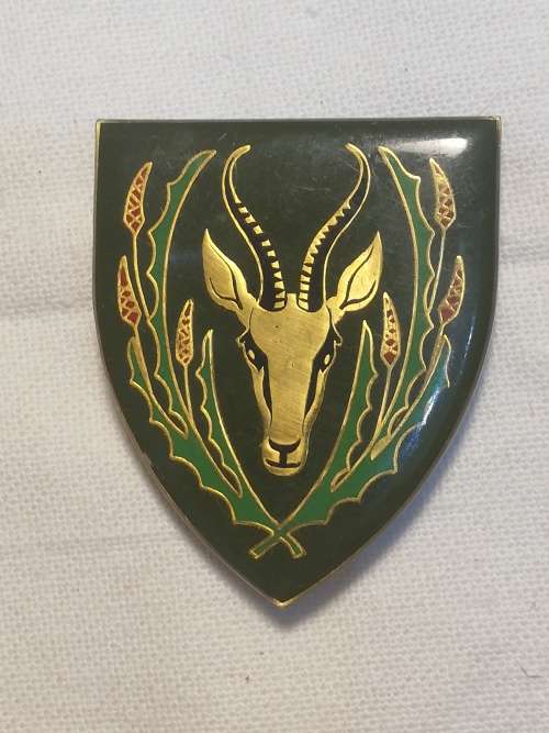 5 SA INFANTRY BATTALION  ALL PINS