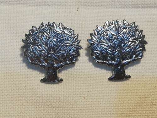 REGIMENT FREE STATE COLLAR BADGE SET ALL PINS