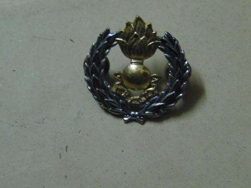 SA ENGINEERS BERET BADGE ALL PINS