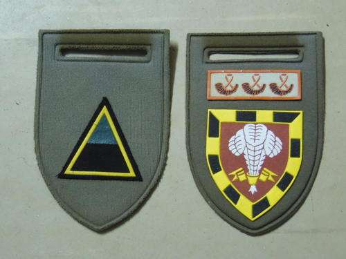 1 SA INFANTRY BATTALION FLASHERS SET NO PIN HAS WEIGHTS