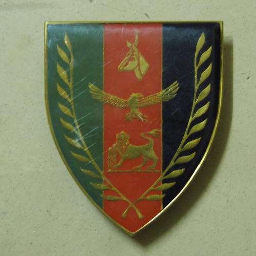 SA CHIEF OF JOINT COMBAT FORCES (F54) ALL PINS