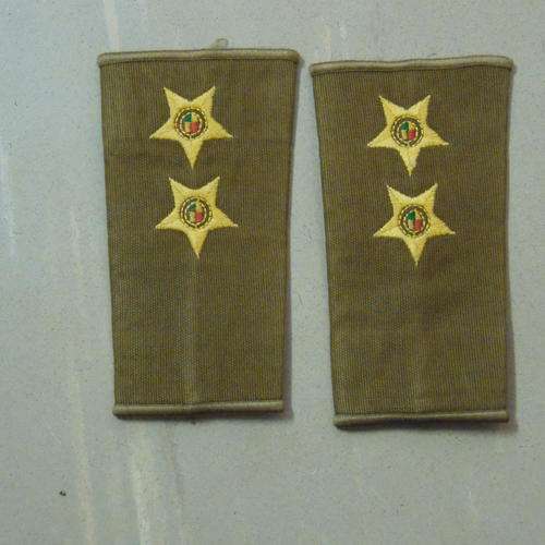 SADF LT SHOULDER EMBROIDERED RANK SET