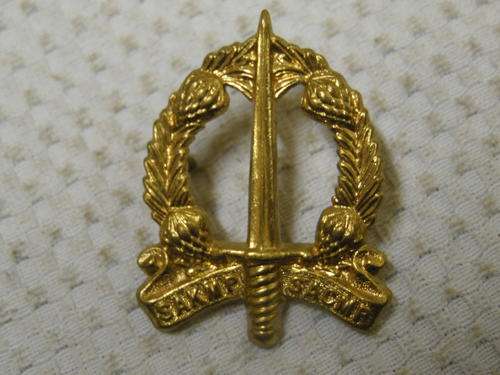 SA CORPS OF MILITARY POLICE BRASS CAP BADGE 1959-1976 ALL SCREWS