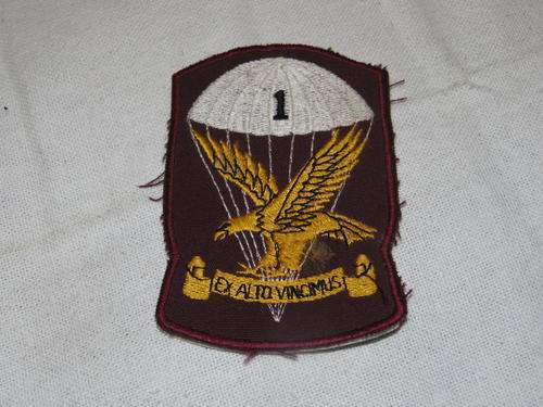 1 PARACHUTE BATTALION CLOTH TRACKSUIT BADGE