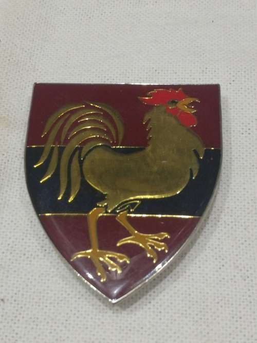 12 FIELD ENGINEER REGIMENT R/H SIDE ALL PINS