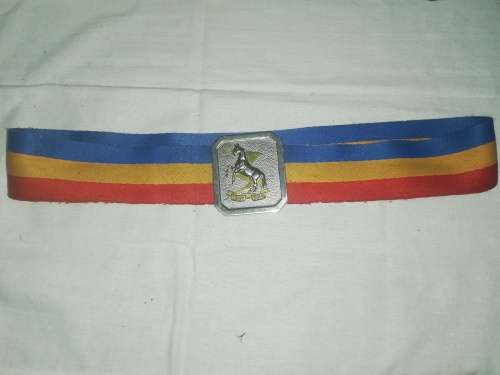 TECHNICAL SERVICE CORPS BELT AND BUCKLE  96CM BELTING