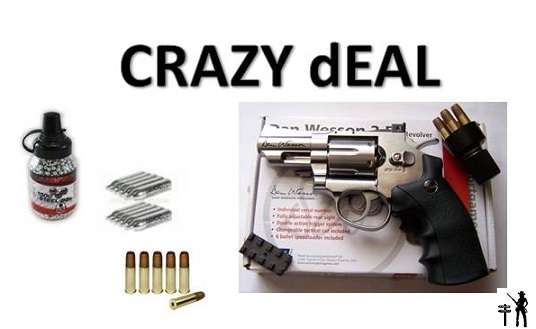 Dan Wesson 2.5" CO2 BB Revolver, Silver +20 x 12g Gas and BB Bullets