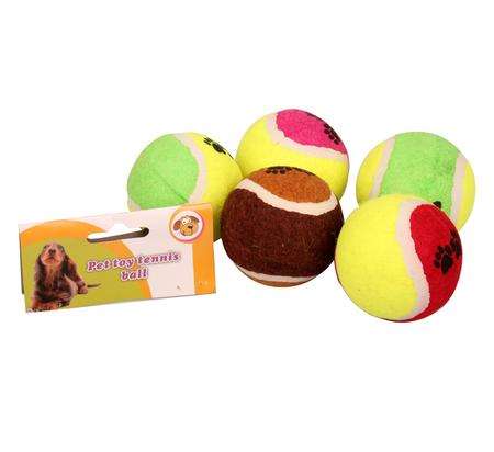 DOGGIE TENNIS BALLS