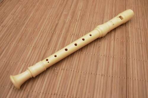 1 x Flute & Flute Cleaner - SUPERB QUALITY